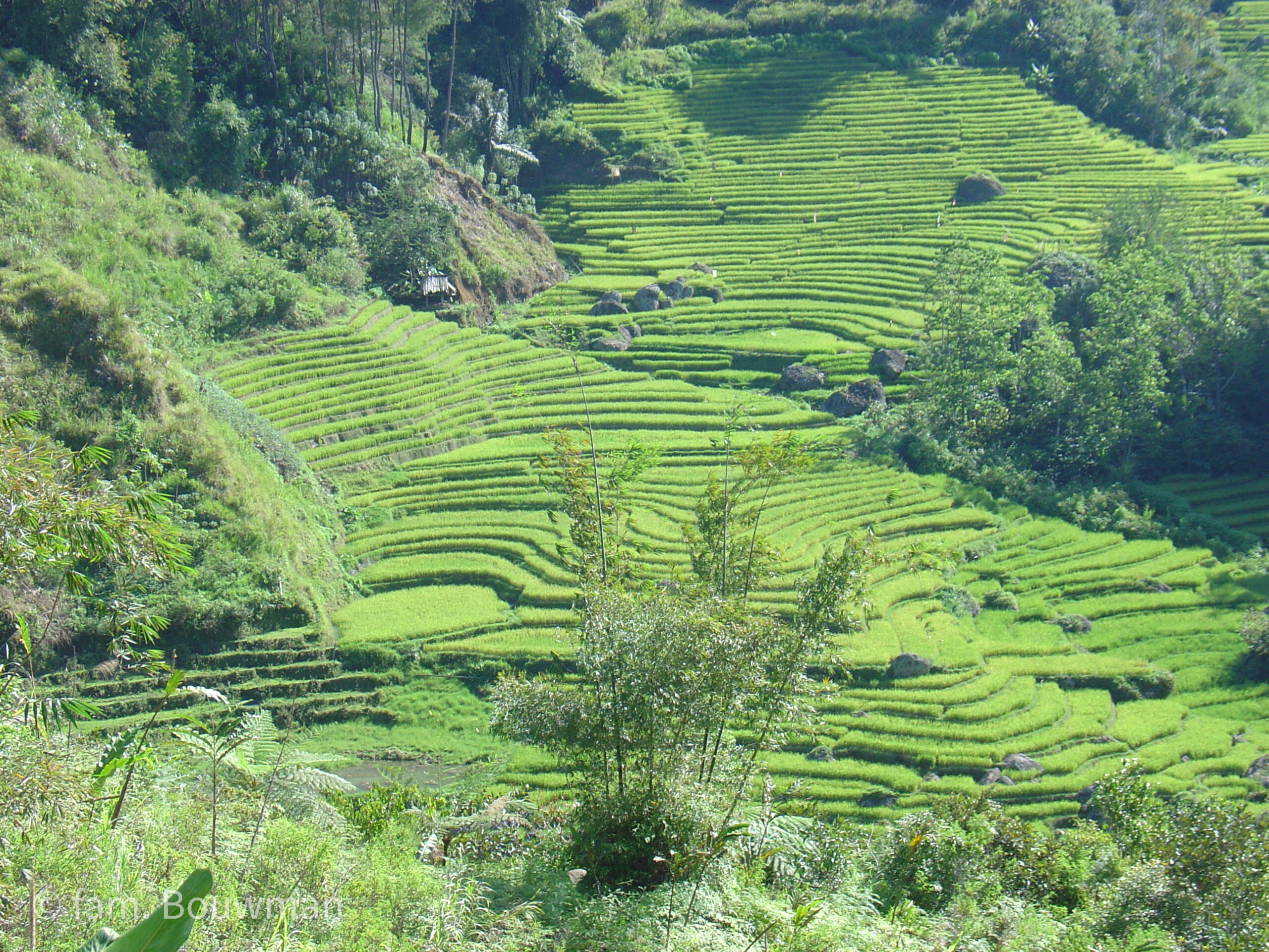 Indonesië