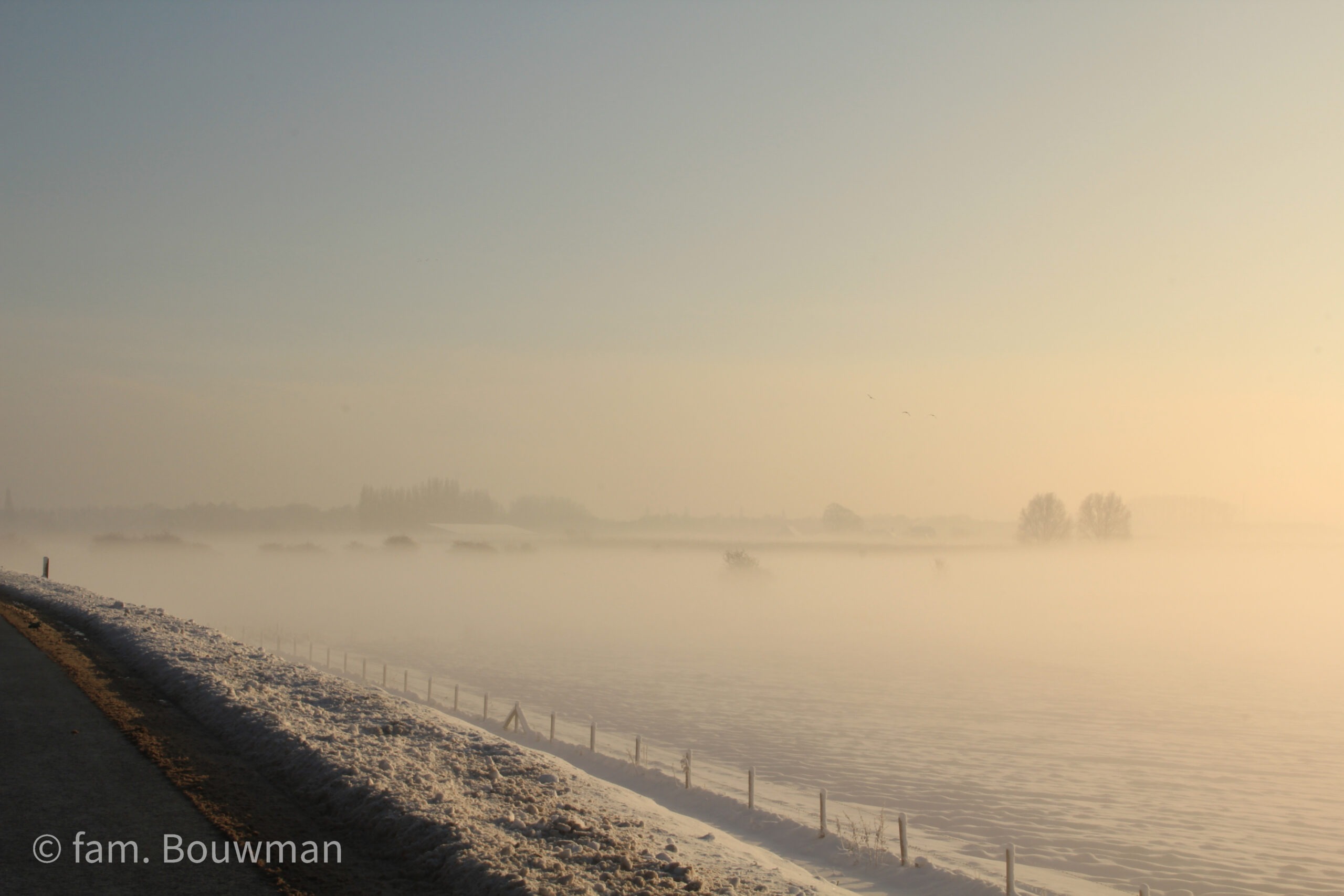 Uitzicht op de Uiterwaarden