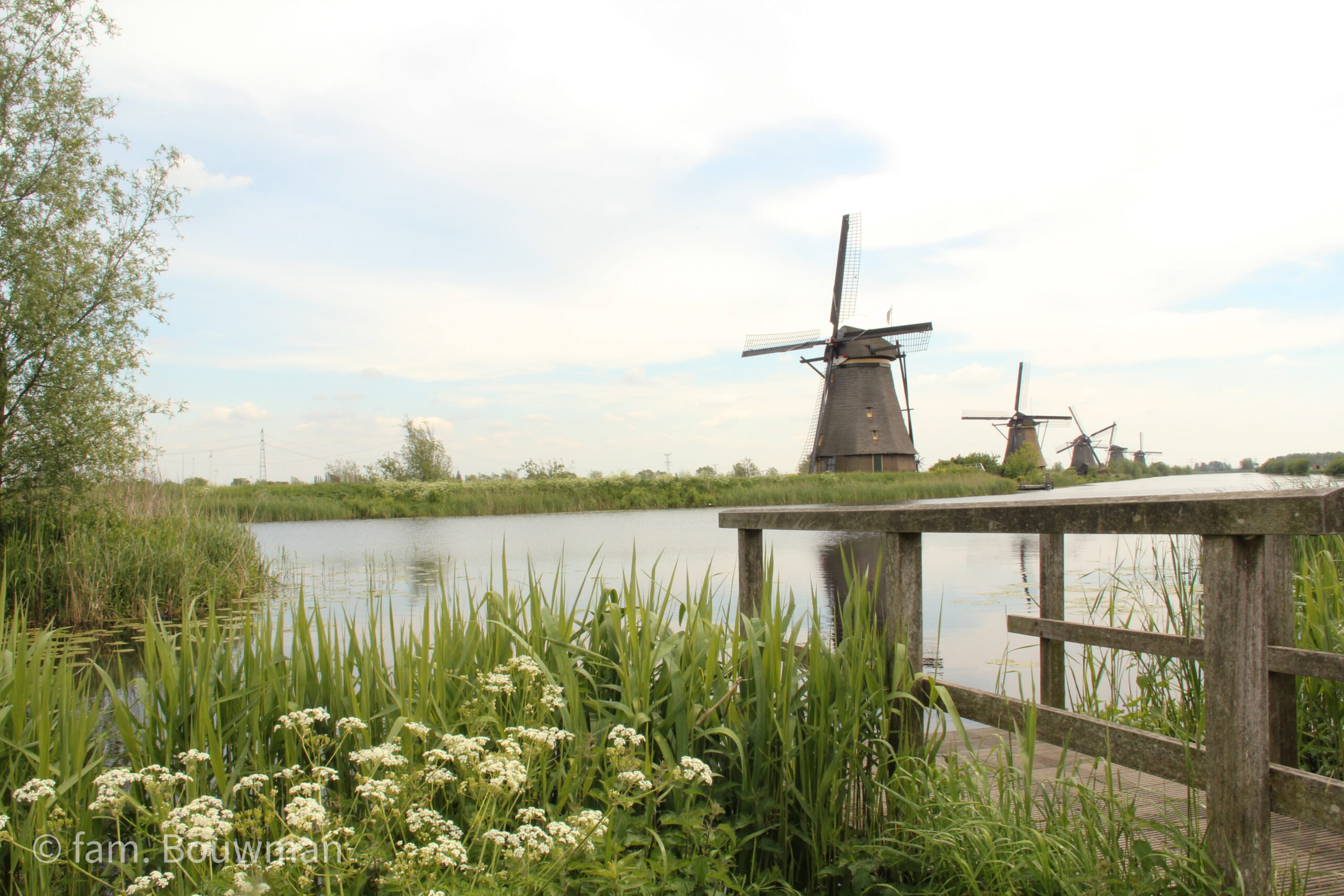 Kinderdijk